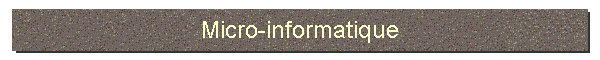 Micro-informatique