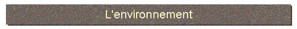 L'environnement